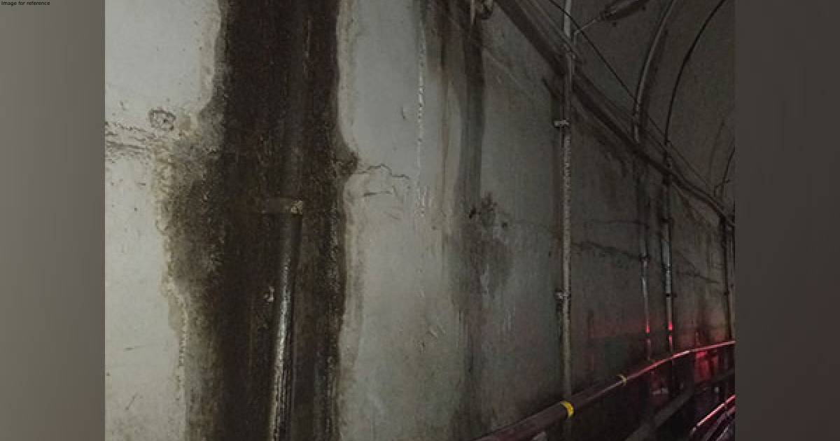 Uttarakhand: Expert committee formed to examine water leakage in Tambakhani tunnel